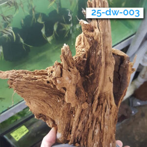 Manzanita Driftwood