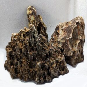 Aquascaping Dragon Stone