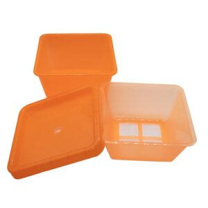 Tray met Zwarte Wormen